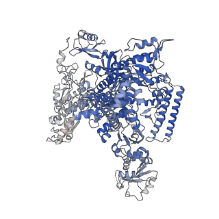 15006_7zx7_A_v1-2
Structure of SNAPc containing Pol II pre-initiation complex bound to U1 snRNA promoter (CC)