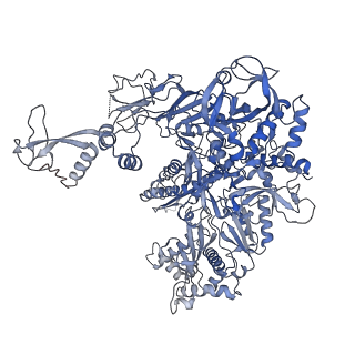 15006_7zx7_B_v1-2
Structure of SNAPc containing Pol II pre-initiation complex bound to U1 snRNA promoter (CC)