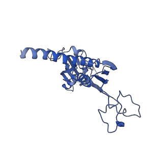 15006_7zx7_C_v1-2
Structure of SNAPc containing Pol II pre-initiation complex bound to U1 snRNA promoter (CC)