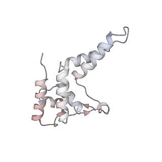 15006_7zx7_D_v1-2
Structure of SNAPc containing Pol II pre-initiation complex bound to U1 snRNA promoter (CC)