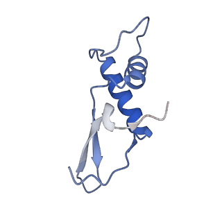 15006_7zx7_F_v1-2
Structure of SNAPc containing Pol II pre-initiation complex bound to U1 snRNA promoter (CC)