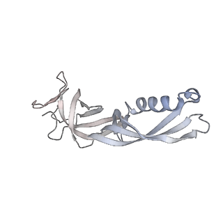 15006_7zx7_G_v1-2
Structure of SNAPc containing Pol II pre-initiation complex bound to U1 snRNA promoter (CC)
