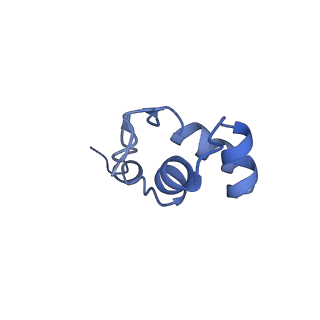 15006_7zx7_J_v1-2
Structure of SNAPc containing Pol II pre-initiation complex bound to U1 snRNA promoter (CC)