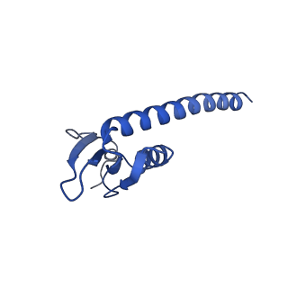 15006_7zx7_K_v1-2
Structure of SNAPc containing Pol II pre-initiation complex bound to U1 snRNA promoter (CC)