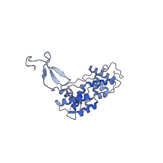 15006_7zx7_M_v1-2
Structure of SNAPc containing Pol II pre-initiation complex bound to U1 snRNA promoter (CC)