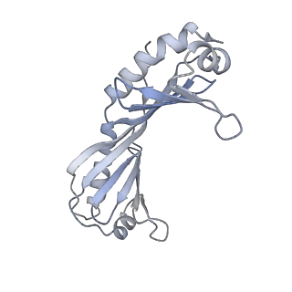 15006_7zx7_O_v1-2
Structure of SNAPc containing Pol II pre-initiation complex bound to U1 snRNA promoter (CC)