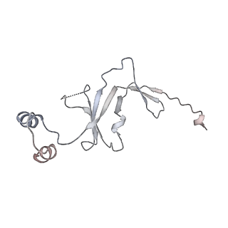 15006_7zx7_Q_v1-2
Structure of SNAPc containing Pol II pre-initiation complex bound to U1 snRNA promoter (CC)