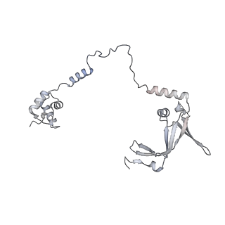 15006_7zx7_R_v1-2
Structure of SNAPc containing Pol II pre-initiation complex bound to U1 snRNA promoter (CC)
