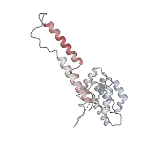 15006_7zx7_a_v1-2
Structure of SNAPc containing Pol II pre-initiation complex bound to U1 snRNA promoter (CC)