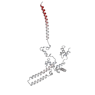 15006_7zx7_c_v1-2
Structure of SNAPc containing Pol II pre-initiation complex bound to U1 snRNA promoter (CC)