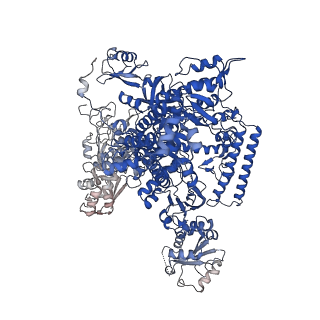 15007_7zx8_A_v1-1
Structure of SNAPc containing Pol II pre-initiation complex bound to U1 snRNA promoter (OC)