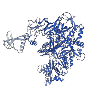 15007_7zx8_B_v1-1
Structure of SNAPc containing Pol II pre-initiation complex bound to U1 snRNA promoter (OC)