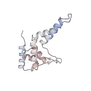 15007_7zx8_D_v1-1
Structure of SNAPc containing Pol II pre-initiation complex bound to U1 snRNA promoter (OC)