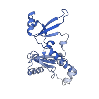 15007_7zx8_E_v1-1
Structure of SNAPc containing Pol II pre-initiation complex bound to U1 snRNA promoter (OC)