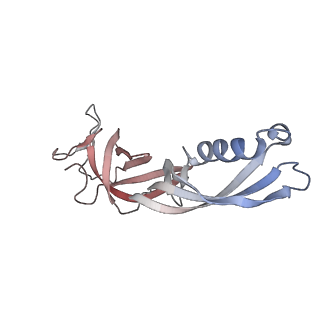 15007_7zx8_G_v1-1
Structure of SNAPc containing Pol II pre-initiation complex bound to U1 snRNA promoter (OC)