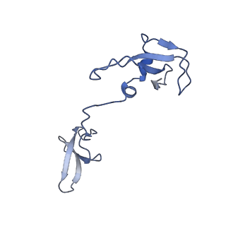 15007_7zx8_I_v1-1
Structure of SNAPc containing Pol II pre-initiation complex bound to U1 snRNA promoter (OC)