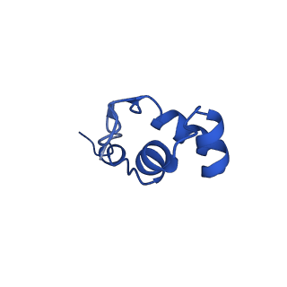 15007_7zx8_J_v1-1
Structure of SNAPc containing Pol II pre-initiation complex bound to U1 snRNA promoter (OC)