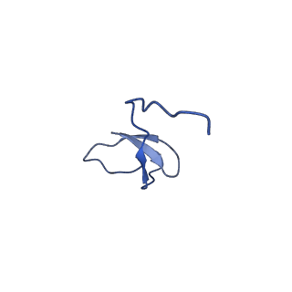 15007_7zx8_L_v1-1
Structure of SNAPc containing Pol II pre-initiation complex bound to U1 snRNA promoter (OC)