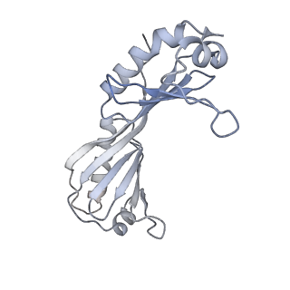 15007_7zx8_O_v1-1
Structure of SNAPc containing Pol II pre-initiation complex bound to U1 snRNA promoter (OC)