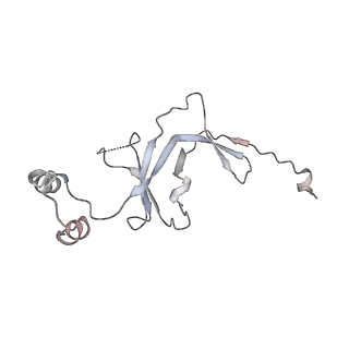15007_7zx8_Q_v1-1
Structure of SNAPc containing Pol II pre-initiation complex bound to U1 snRNA promoter (OC)