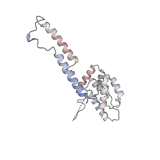 15007_7zx8_a_v1-1
Structure of SNAPc containing Pol II pre-initiation complex bound to U1 snRNA promoter (OC)