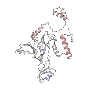 15007_7zx8_b_v1-1
Structure of SNAPc containing Pol II pre-initiation complex bound to U1 snRNA promoter (OC)