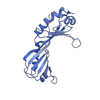 15009_7zxe_O_v1-2
Structure of SNAPc containing Pol II pre-initiation complex bound to U1 snRNA promoter (OC)