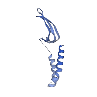 15009_7zxe_U_v1-2
Structure of SNAPc containing Pol II pre-initiation complex bound to U1 snRNA promoter (OC)