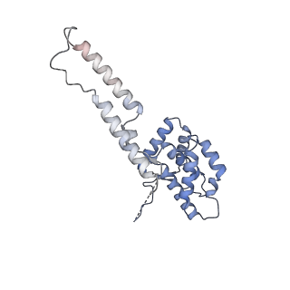 15009_7zxe_a_v1-2
Structure of SNAPc containing Pol II pre-initiation complex bound to U1 snRNA promoter (OC)
