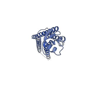 15011_7zxn_B_v1-0
cryo-EM structure of Connexin 32 gap junction channel