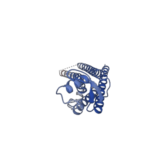 15011_7zxn_F_v1-0
cryo-EM structure of Connexin 32 gap junction channel