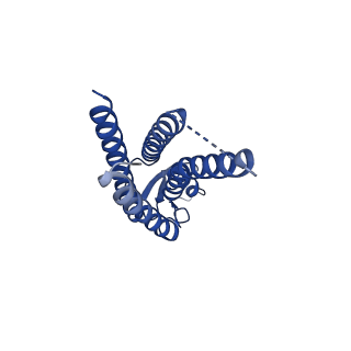 15012_7zxo_B_v1-0
cryo-EM structure of Connexin 32 gap junction channel