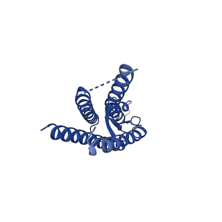 15012_7zxo_C_v1-0
cryo-EM structure of Connexin 32 gap junction channel