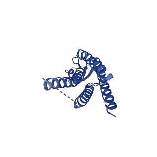 15012_7zxo_E_v1-0
cryo-EM structure of Connexin 32 gap junction channel