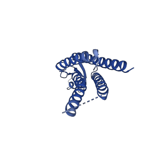15012_7zxo_F_v1-0
cryo-EM structure of Connexin 32 gap junction channel