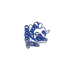 15012_7zxo_H_v1-0
cryo-EM structure of Connexin 32 gap junction channel