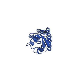 15012_7zxo_K_v1-0
cryo-EM structure of Connexin 32 gap junction channel
