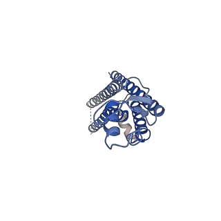 15014_7zxq_B_v1-0
cryo-EM structure of Connexin 32 R22G mutation hemi channel