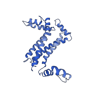 15017_7zxy_A_v1-1
3.15 Angstrom cryo-EM structure of the dimeric cytochrome b6f complex from Synechocystis sp. PCC 6803 with natively bound plastoquinone and lipid molecules.