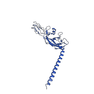 15017_7zxy_C_v1-1
3.15 Angstrom cryo-EM structure of the dimeric cytochrome b6f complex from Synechocystis sp. PCC 6803 with natively bound plastoquinone and lipid molecules.