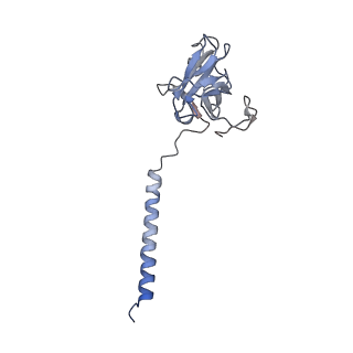 15017_7zxy_D_v1-1
3.15 Angstrom cryo-EM structure of the dimeric cytochrome b6f complex from Synechocystis sp. PCC 6803 with natively bound plastoquinone and lipid molecules.