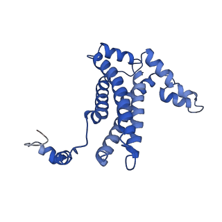 15017_7zxy_I_v1-1
3.15 Angstrom cryo-EM structure of the dimeric cytochrome b6f complex from Synechocystis sp. PCC 6803 with natively bound plastoquinone and lipid molecules.
