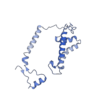 15017_7zxy_J_v1-1
3.15 Angstrom cryo-EM structure of the dimeric cytochrome b6f complex from Synechocystis sp. PCC 6803 with natively bound plastoquinone and lipid molecules.