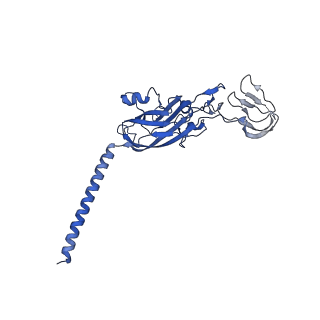 15017_7zxy_K_v1-1
3.15 Angstrom cryo-EM structure of the dimeric cytochrome b6f complex from Synechocystis sp. PCC 6803 with natively bound plastoquinone and lipid molecules.