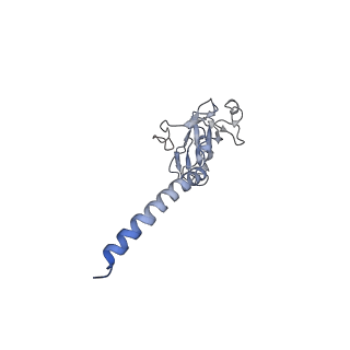 15017_7zxy_L_v1-1
3.15 Angstrom cryo-EM structure of the dimeric cytochrome b6f complex from Synechocystis sp. PCC 6803 with natively bound plastoquinone and lipid molecules.