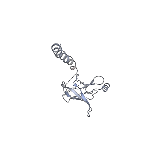 11548_6zy3_D_v1-2
Cryo-EM structure of MlaFEDB in complex with phospholipid