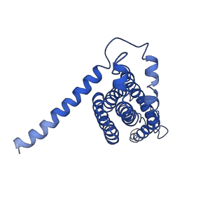 11548_6zy3_E_v1-2
Cryo-EM structure of MlaFEDB in complex with phospholipid
