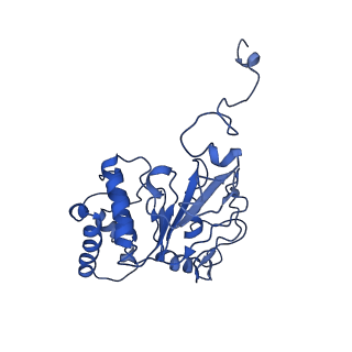 11548_6zy3_G_v1-2
Cryo-EM structure of MlaFEDB in complex with phospholipid