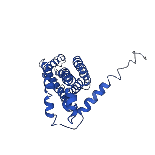 11548_6zy3_H_v1-2
Cryo-EM structure of MlaFEDB in complex with phospholipid