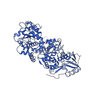 11550_6zy5_A_v1-1
Cryo-EM structure of the Human topoisomerase II alpha DNA-binding/cleavage domain in State 1